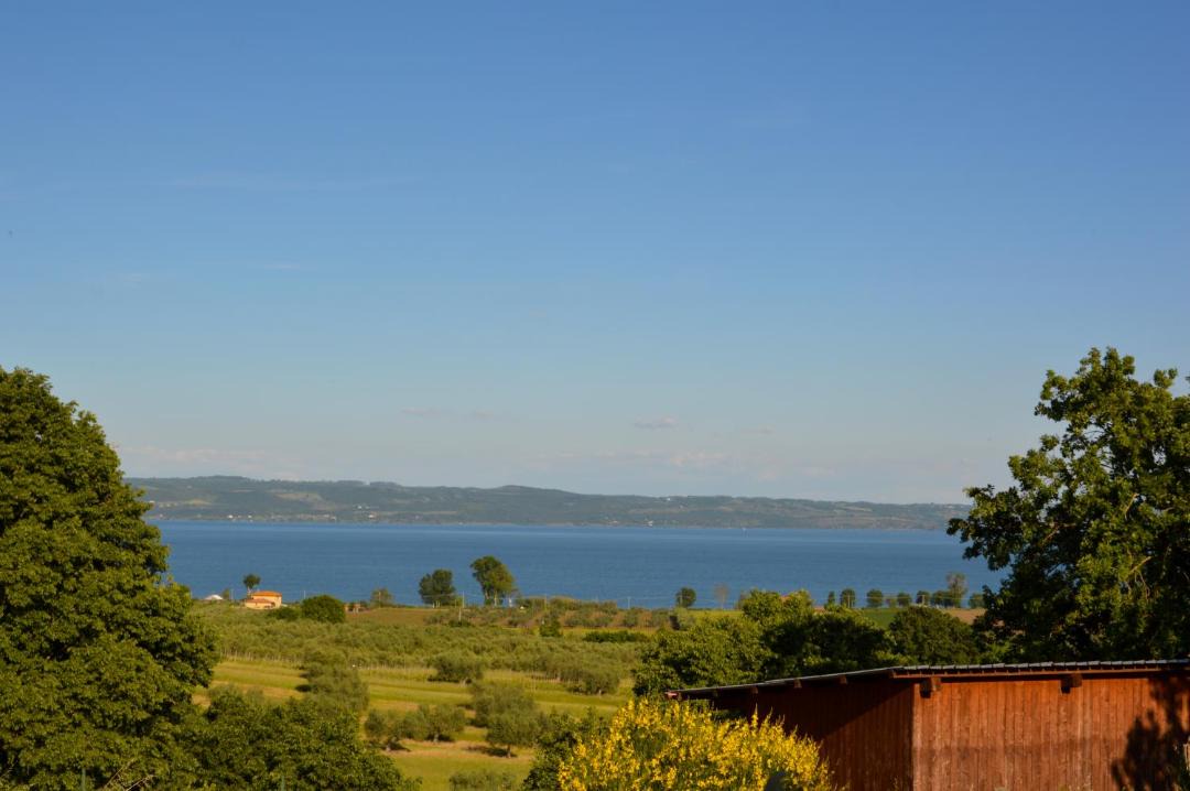 Photo of Others in Bolsena
