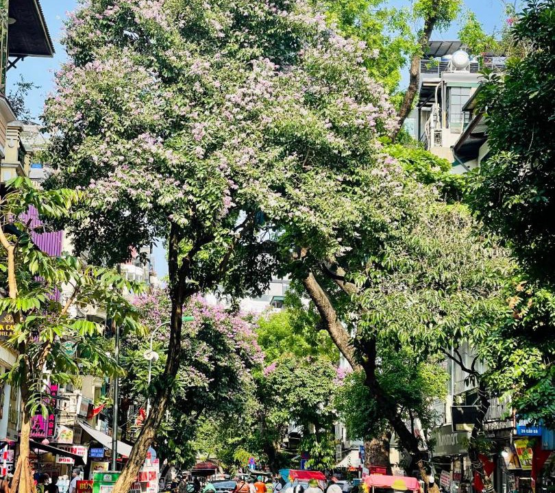 Photo of Others in Old Quarter