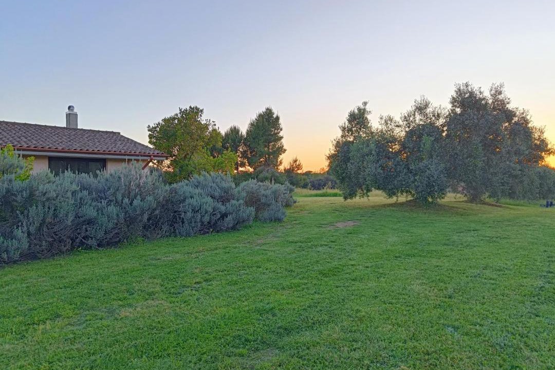 Photo of Others in Vigna di Valle