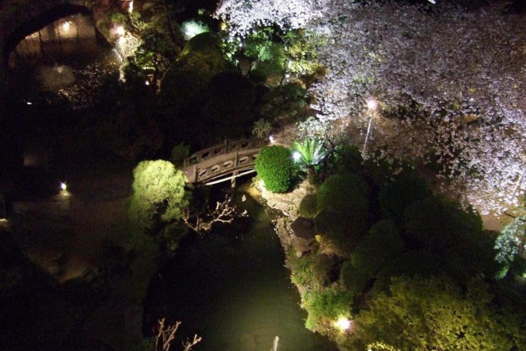 Photo of Others in Kurume