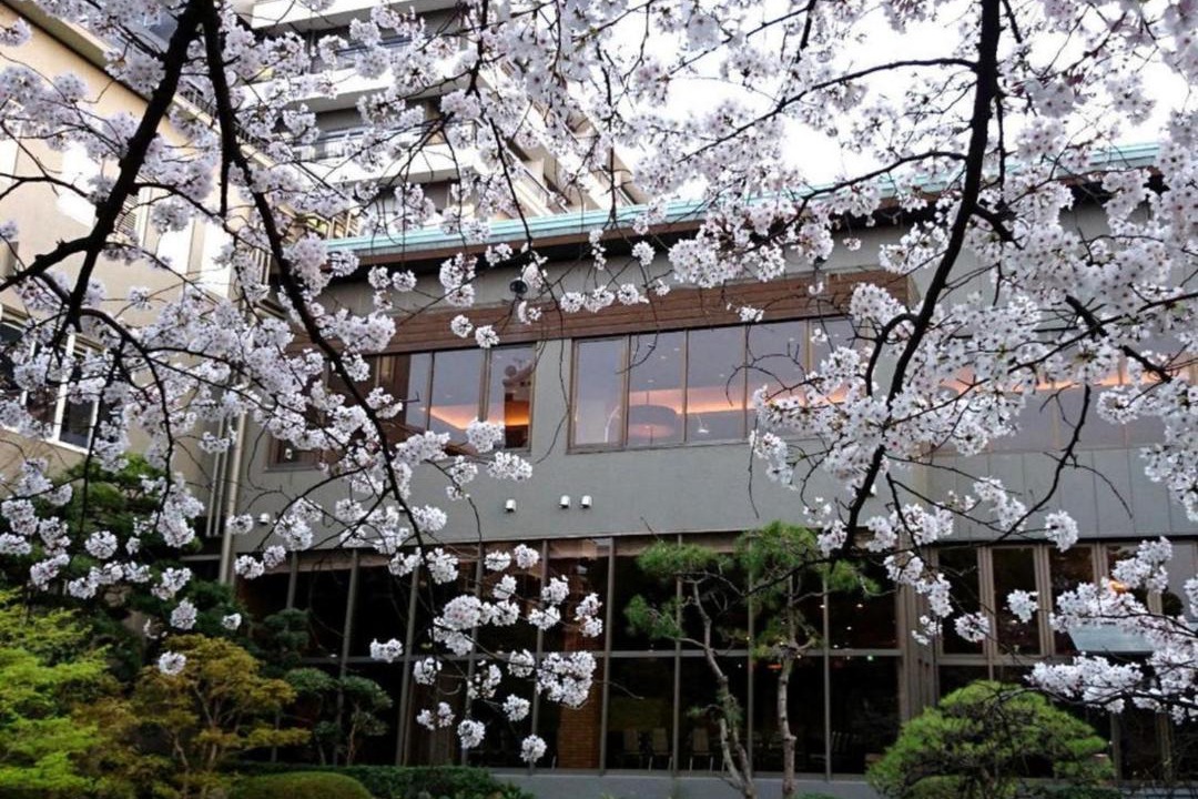 Photo of Others in Kurume