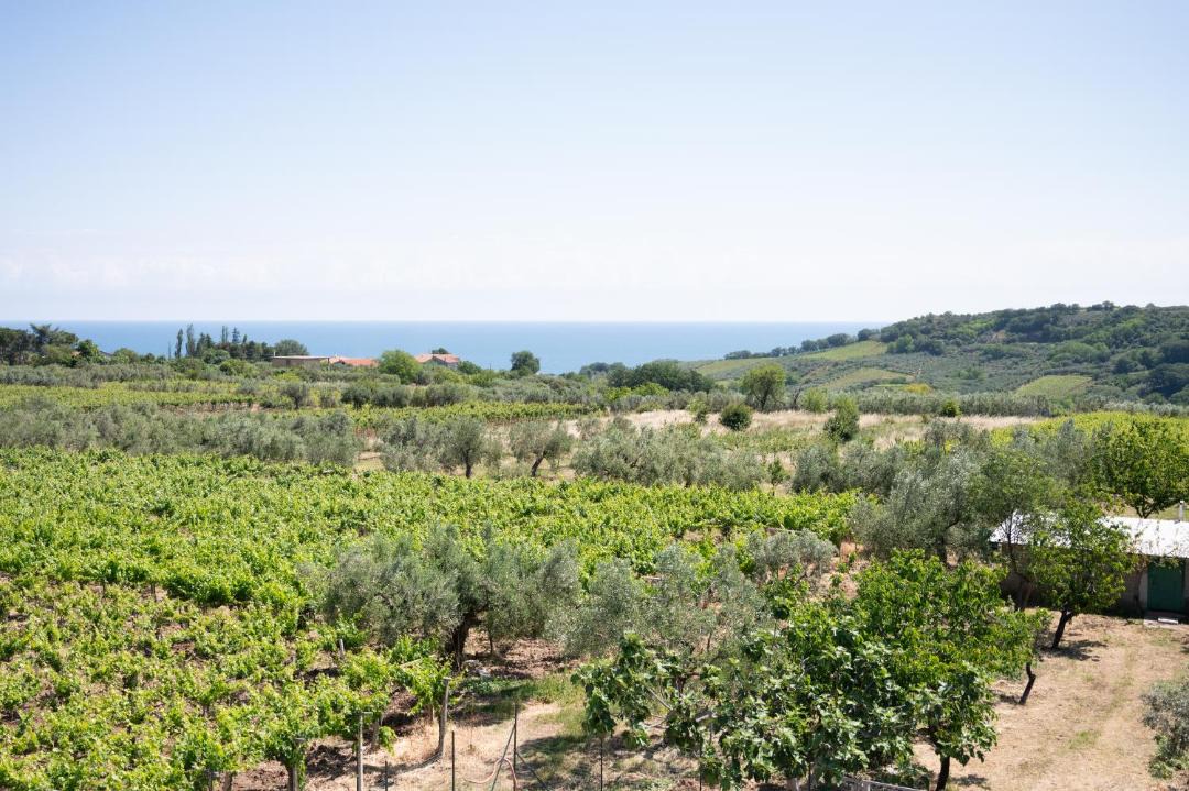 Photo of Others in Ortona