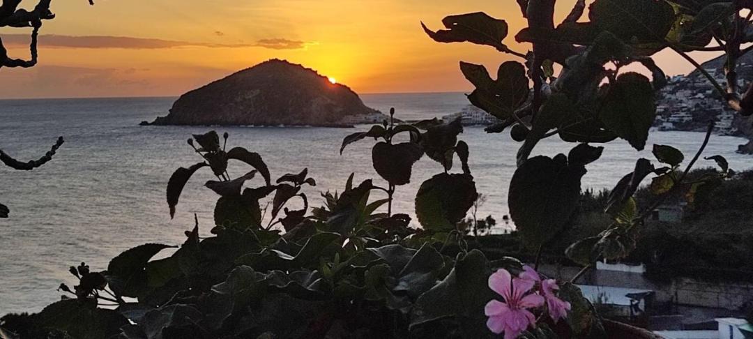 Photo of Others in Barano d'Ischia