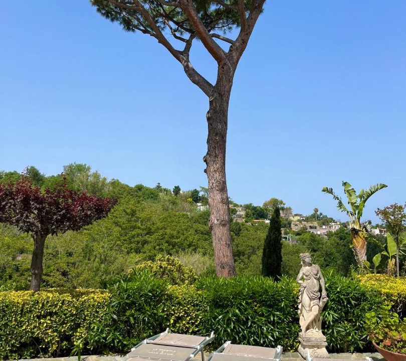 Photo of Others in Casamicciola Terme
