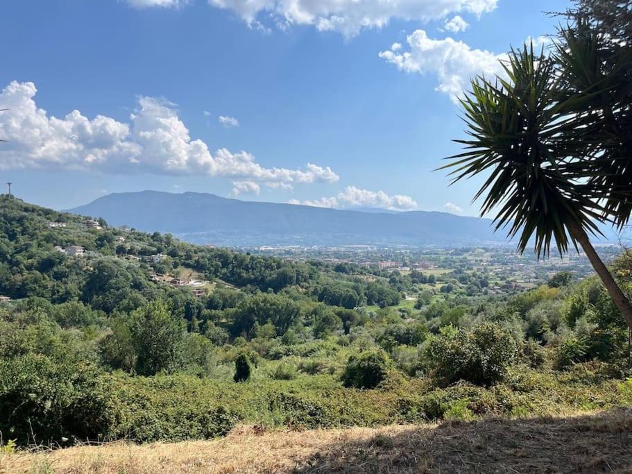 Photo of Others in Anagni