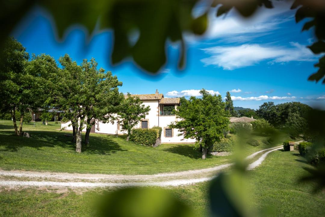 Photo of Others in Bolsena