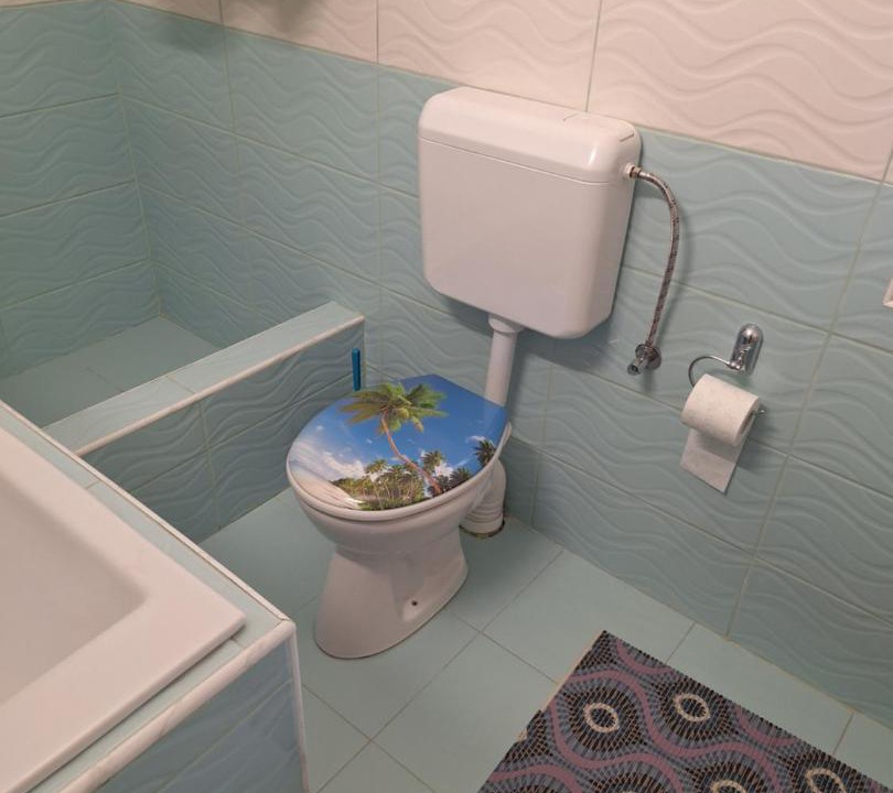 Photo of Bathroom in Lupeni