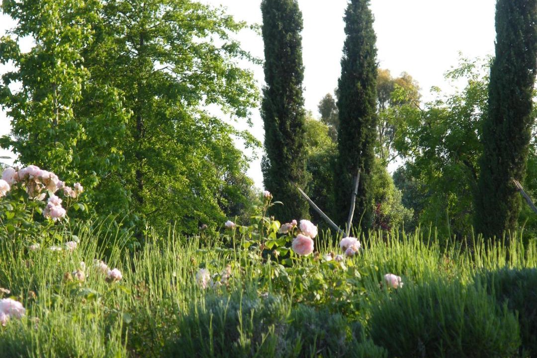 Photo of Others in Pomezia