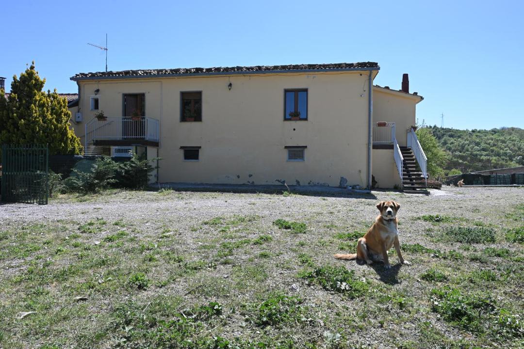 Photo of Others in Laurenzana