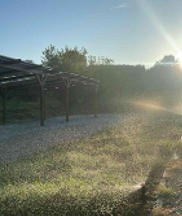 Photo of Others in Moricone