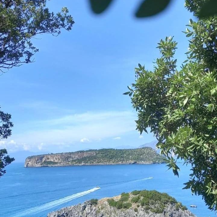 Photo of Others in Praia a Mare