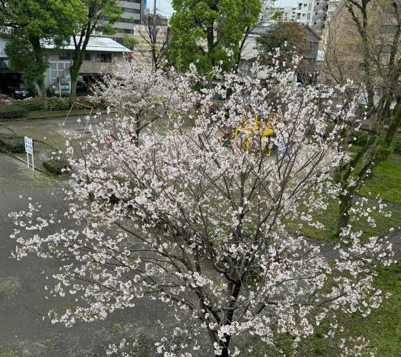 Photo of Others in Nishisengoku-cho