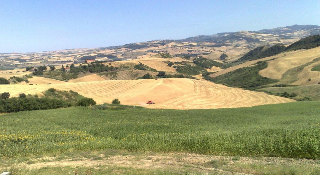 Photo of Others in Montecilfone