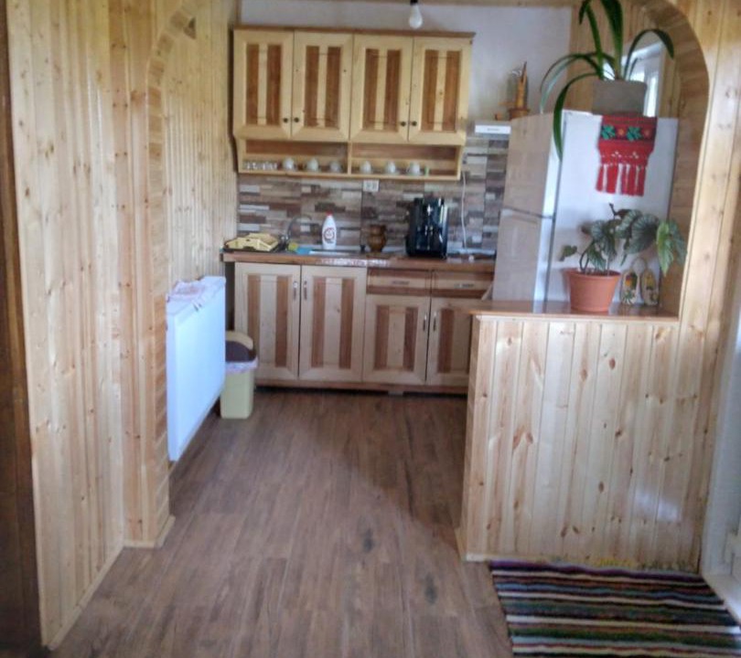 Photo of Kitchen in Garda de Sus