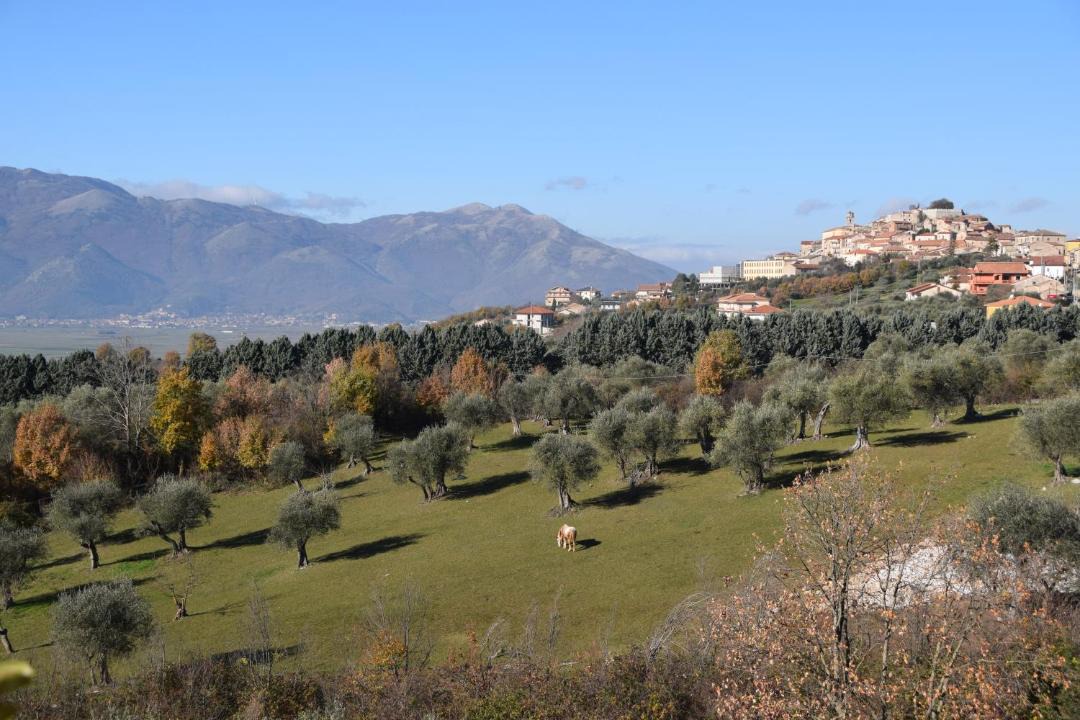 Photo of Others in Atena Lucana
