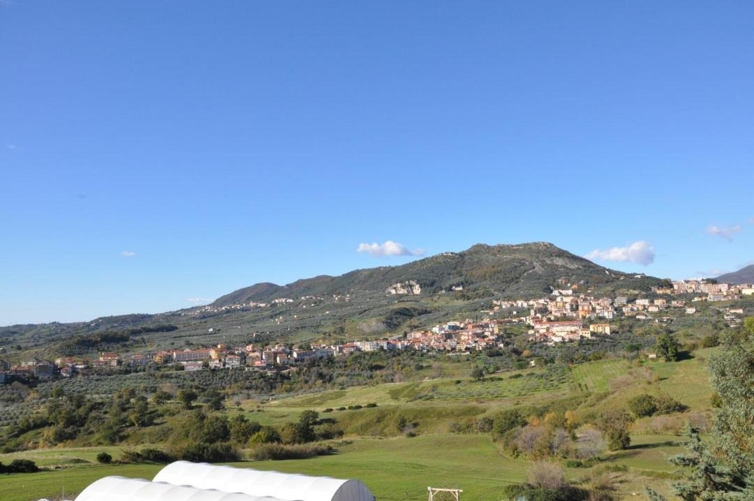 Photo of Others in Montecorvino Rovella