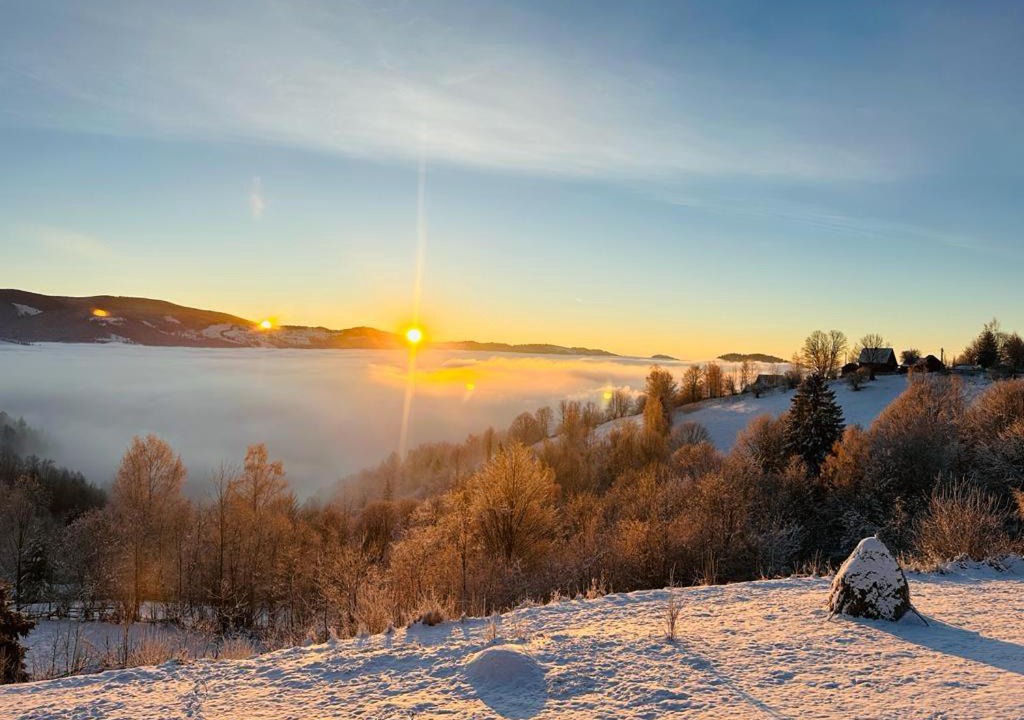 Photo of Outdoor in Horea