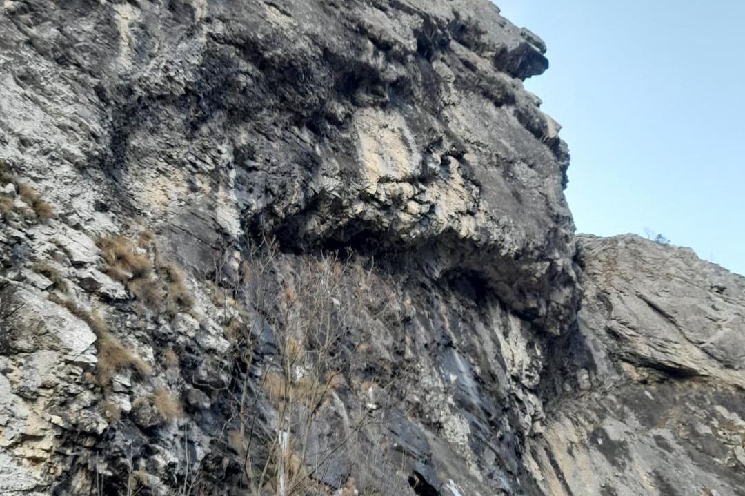 Photo of Others in Intregalde