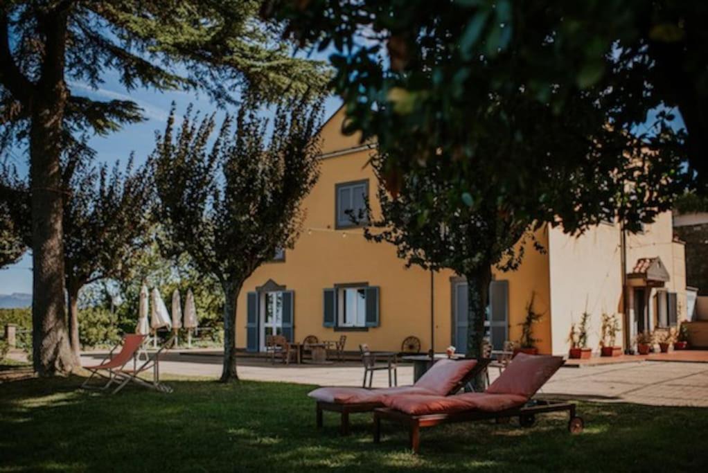 Photo of Others in Frascati