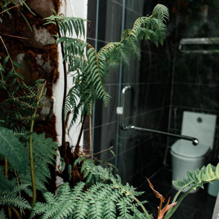 Photo of Others in Ninh Hai