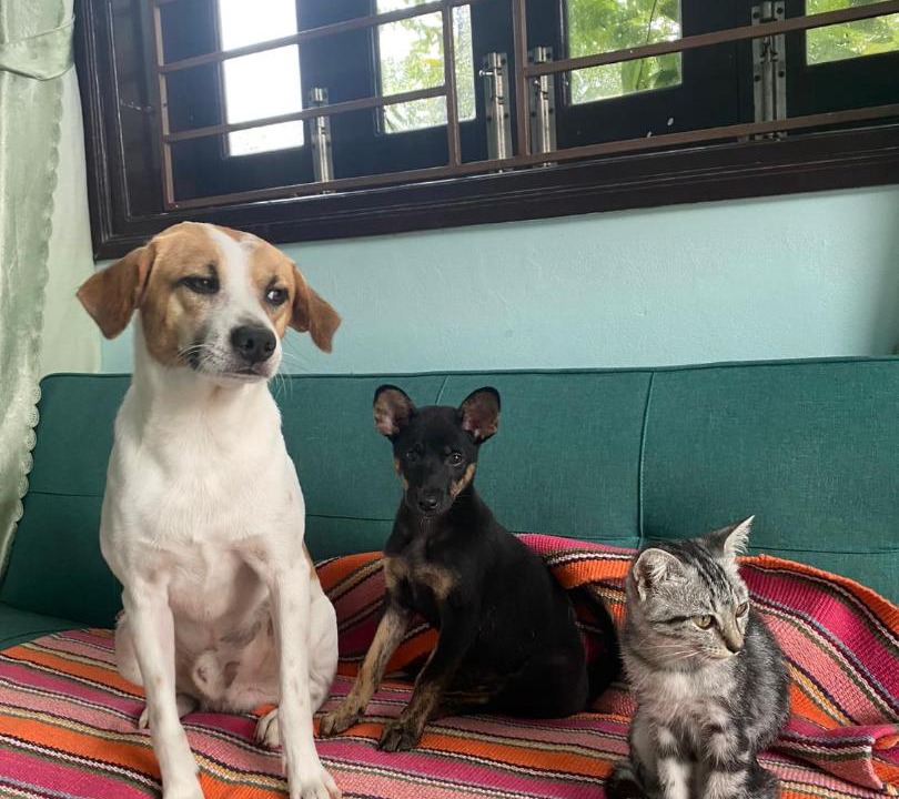 Photo of Others in Cam Thanh