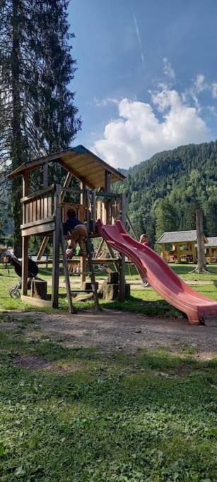 Photo of Others in Gosaldo