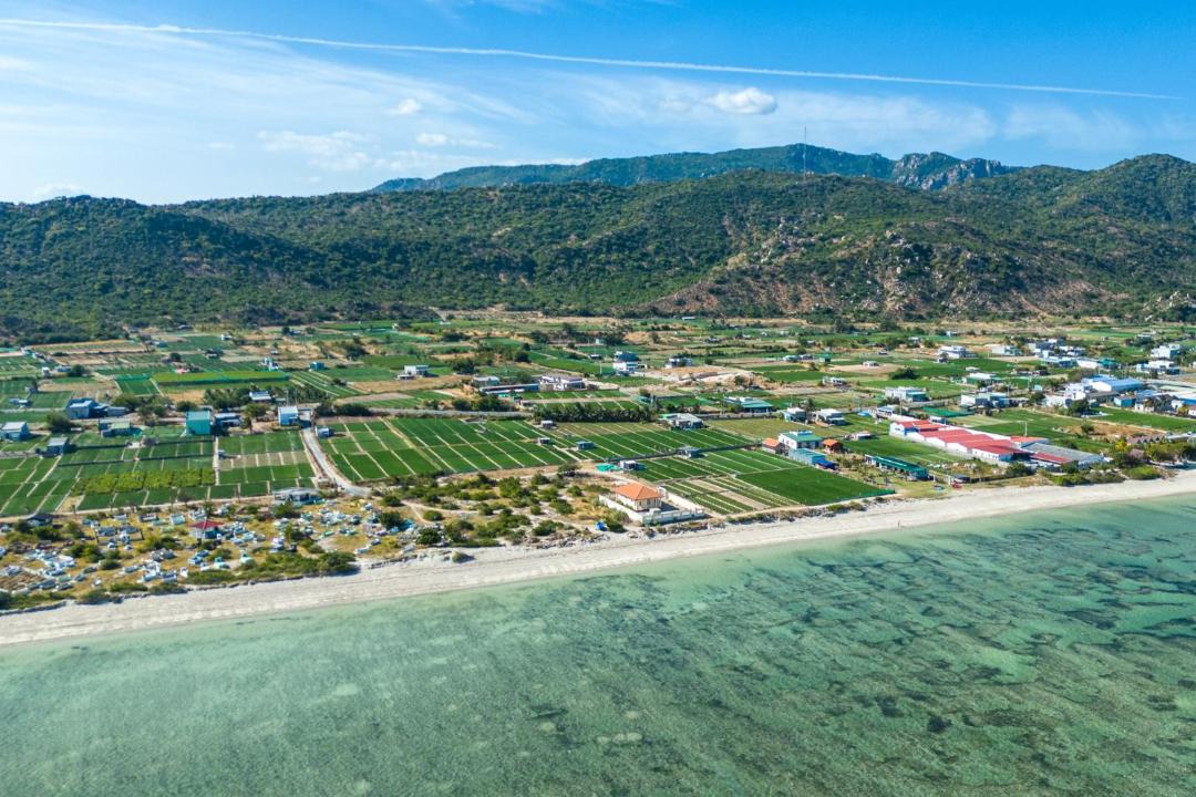 Photo of Others in Ninh Hai