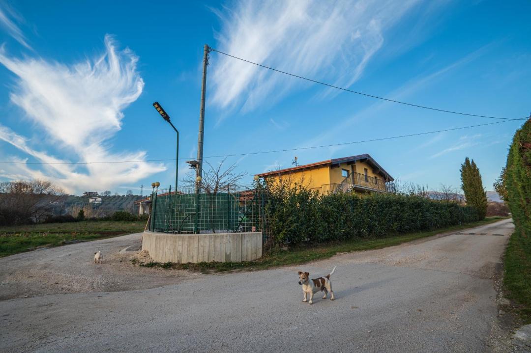 Photo of Others in Macchia d'Isernia