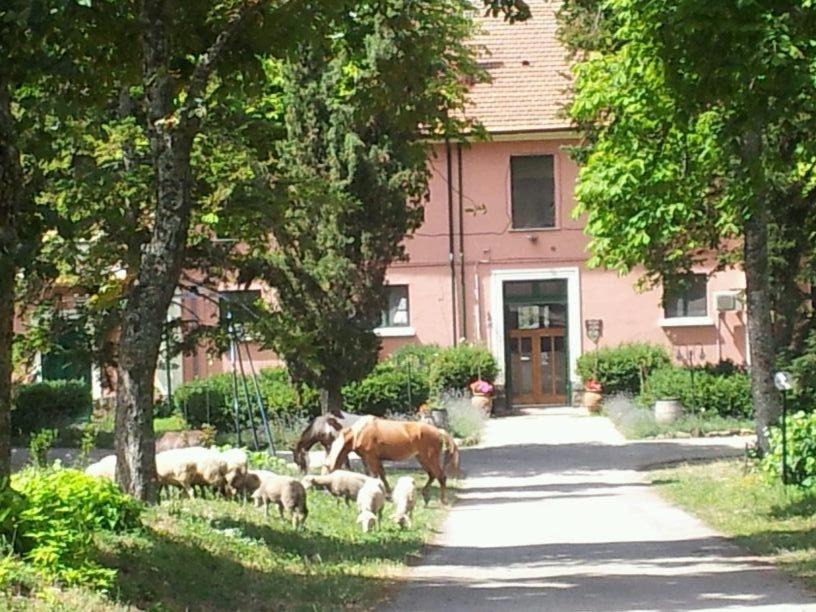 Photo of Others in Atella