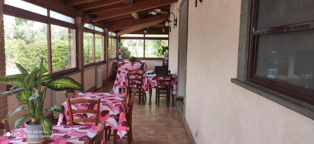 Photo of Others in Ladispoli
