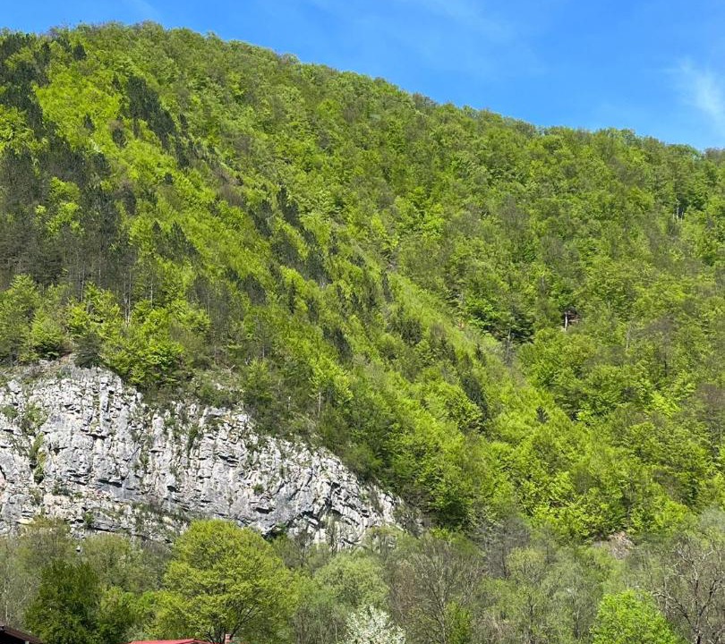 Photo of Others in Bratca