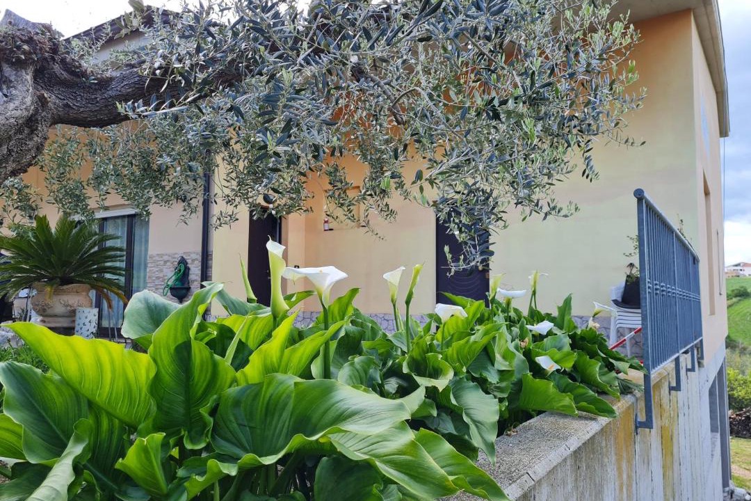 Photo of Others in Vasto