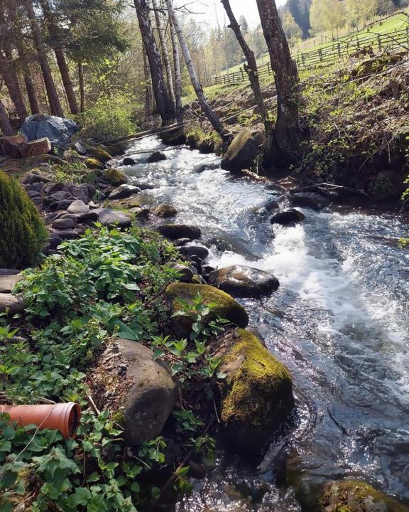 Photo of Outdoor in Izvoare