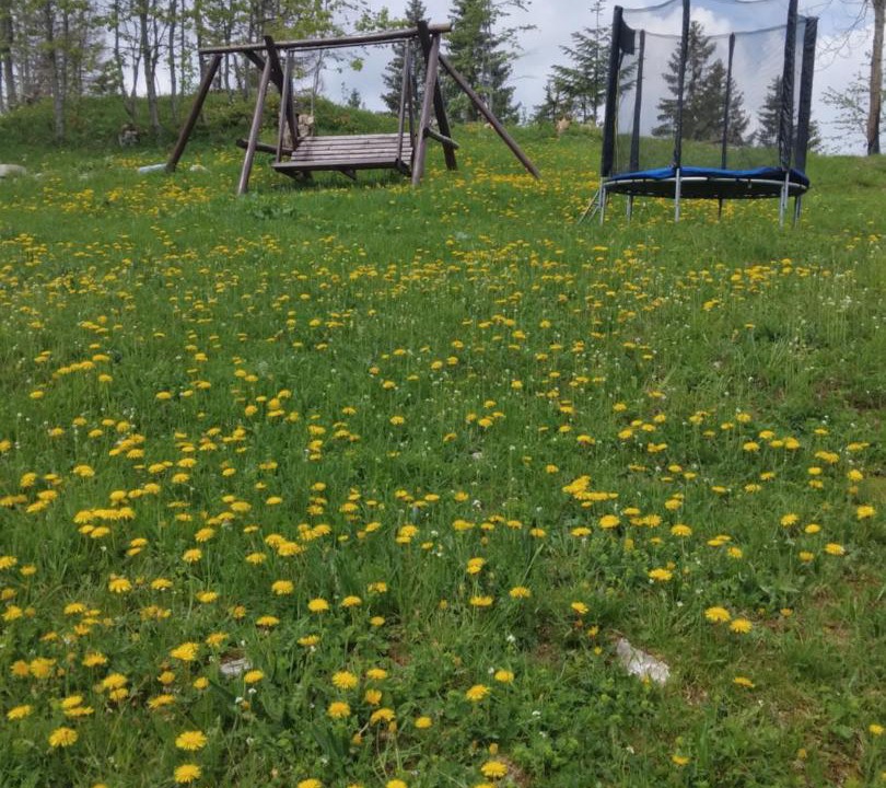 Photo of Outdoor in Garda de Sus