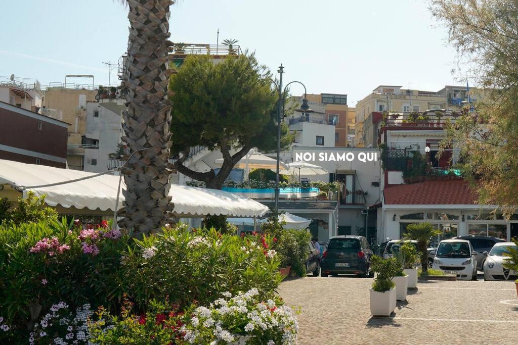 Photo of Others in Bacoli