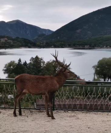Photo of Others in Scanno
