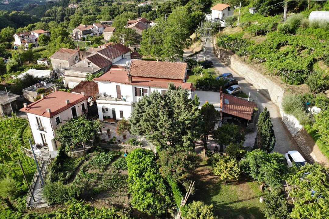 Photo of Others in Tramonti