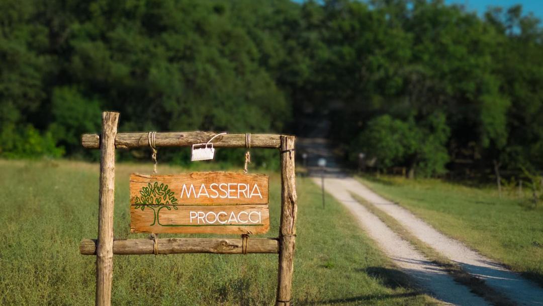 Photo of Others in Ischitella