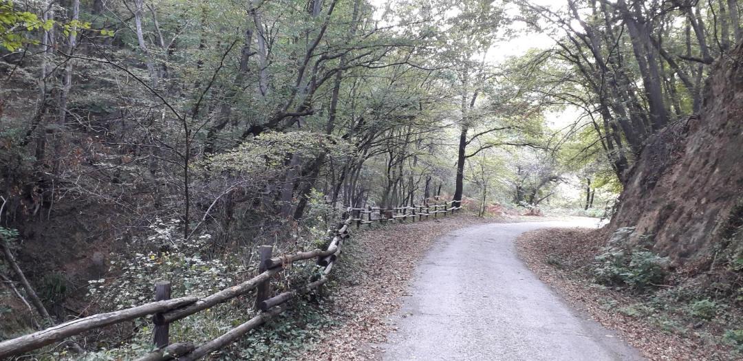 Photo of Others in Canale Monterano