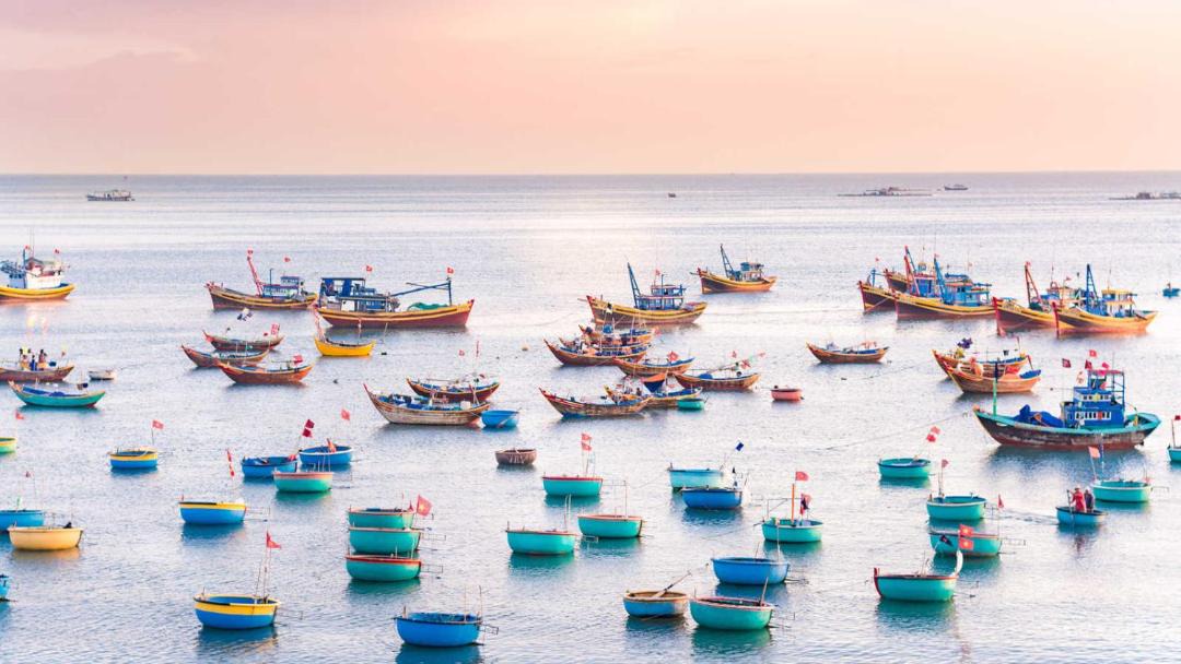 Photo of Others in Phan Thiet