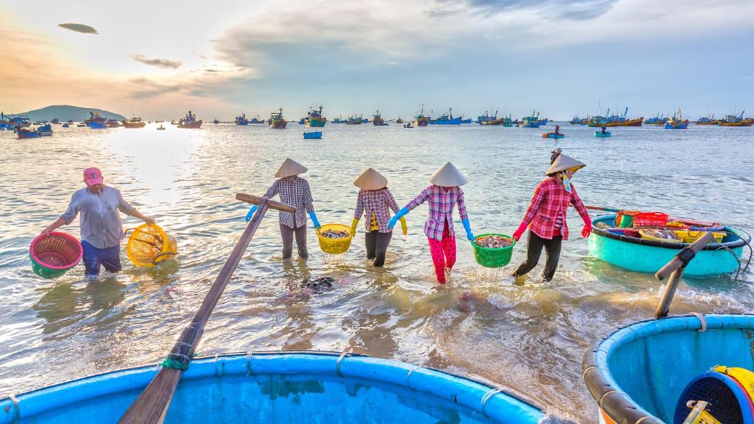 Photo of Others in Phan Thiet