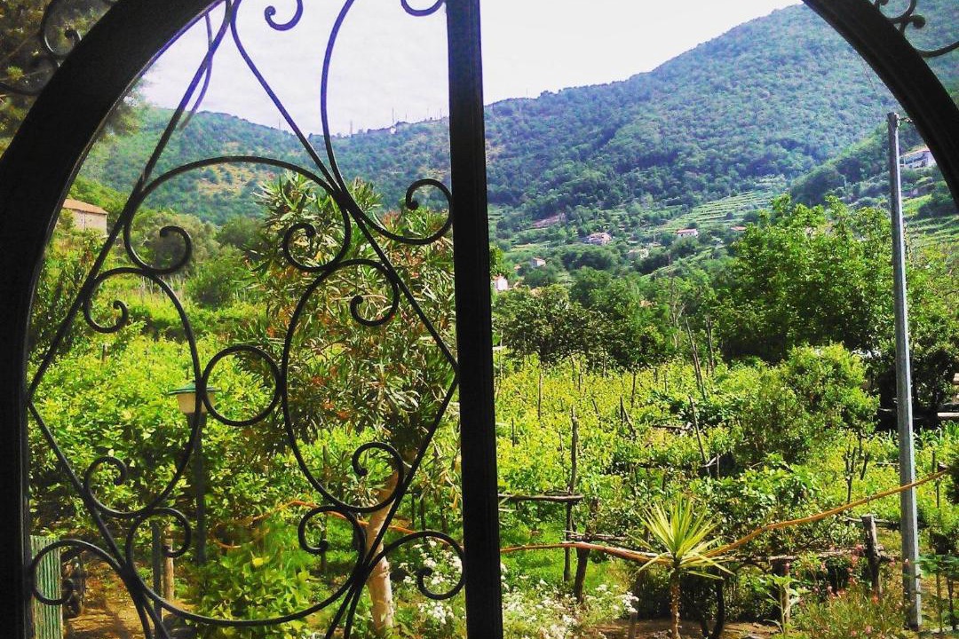 Photo of Others in Tramonti