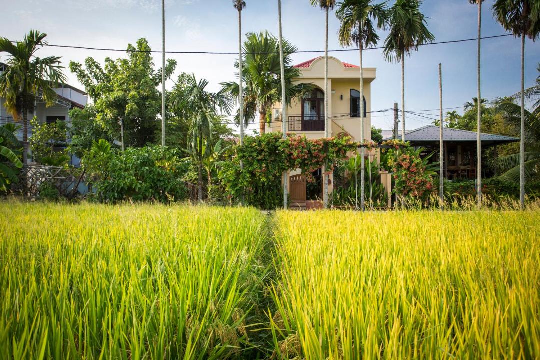 Photo of Others in Cam Thanh
