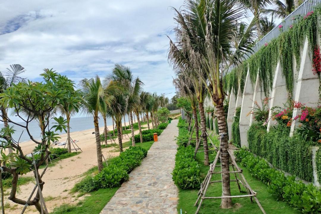 Photo of Others in Suoi Nuoc Beach