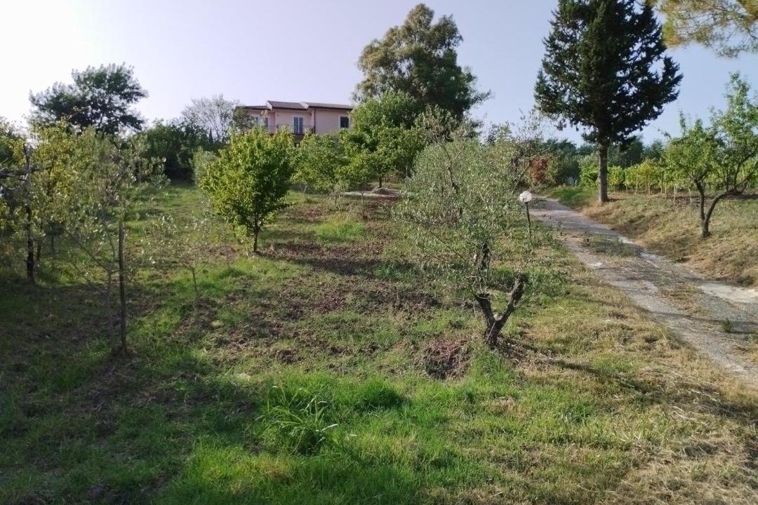 Photo of Outdoor in Contursi Terme