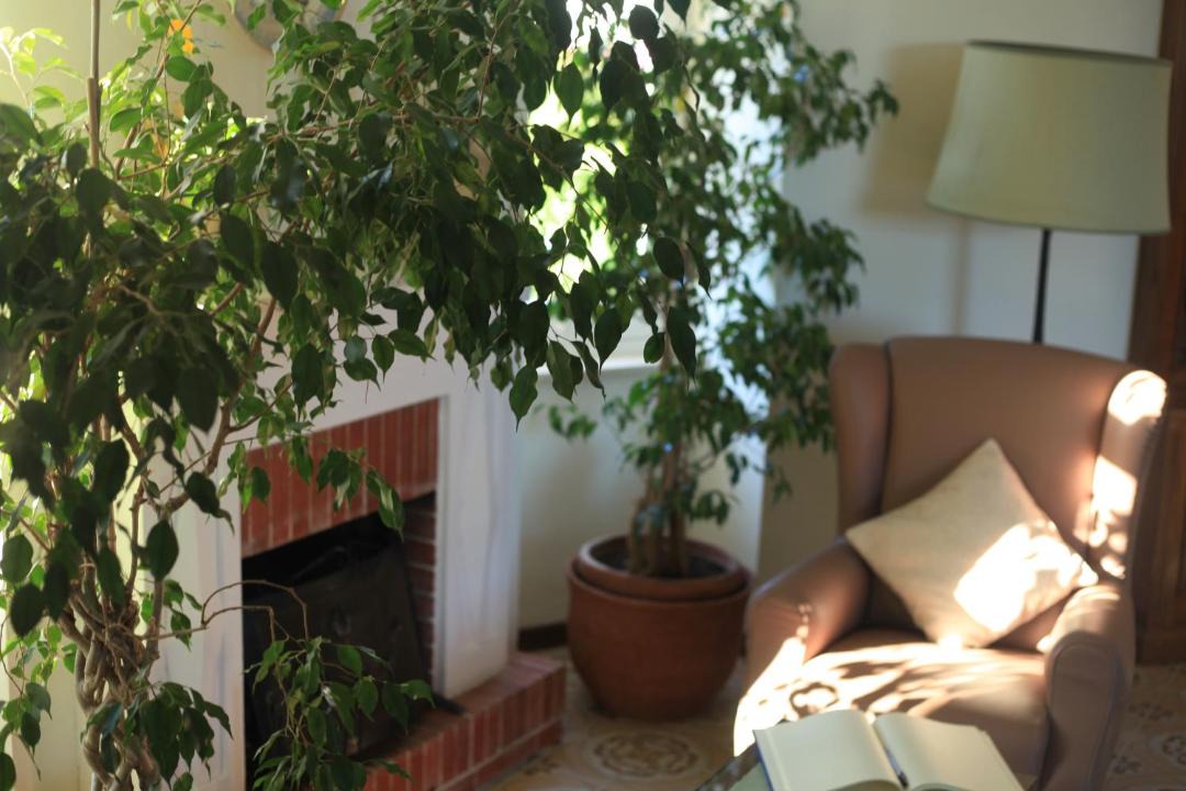 Photo of Livingroom in Tiberio