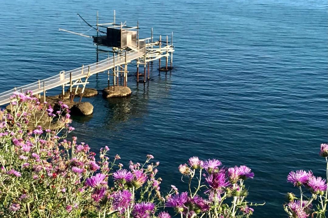 Photo of Others in San Salvo Marina