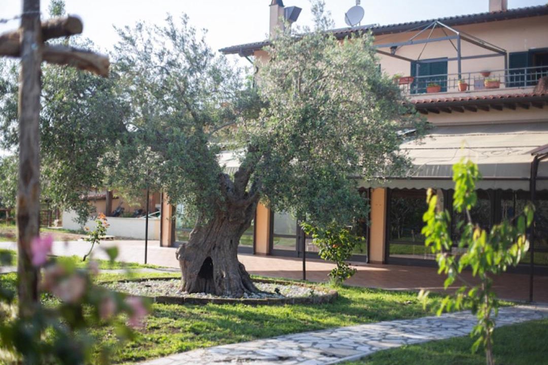 Photo of Others in Castelnuovo di Farfa