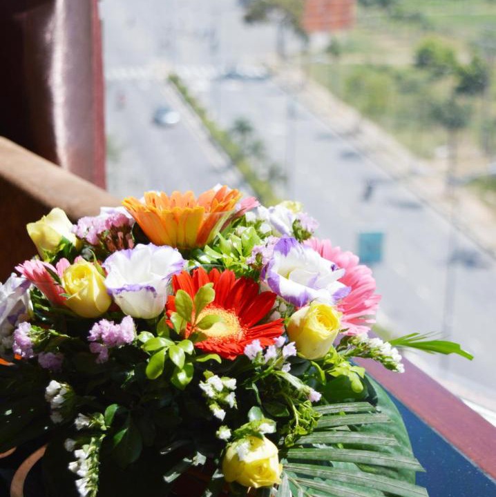 Photo of Others in Hai Chau