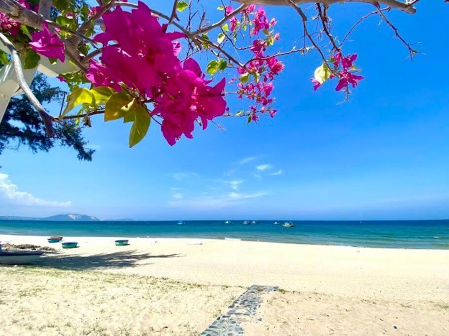 Photo of Others in Suoi Nuoc Beach